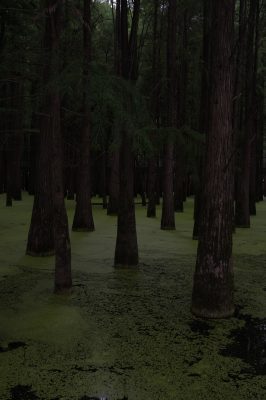 0010.jpg