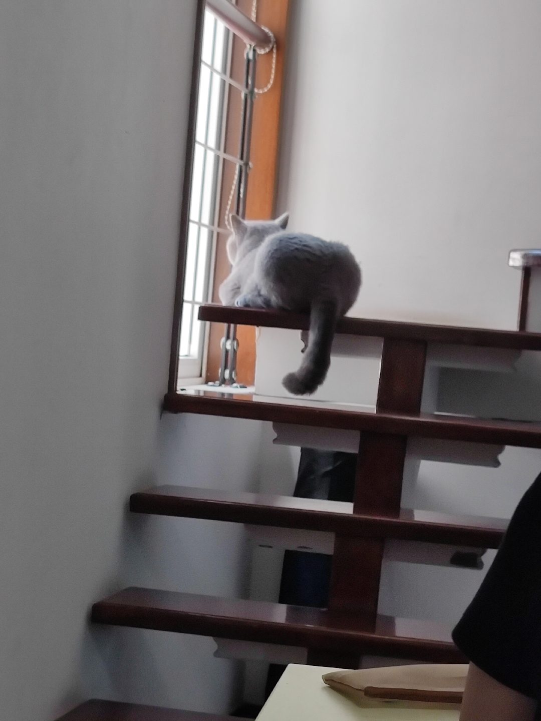 0524.jpg